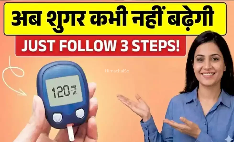 शुगर कंट्रोल करना है लेकिन रोटी-चावल, फ्रूट्स भी छोड़ना नहीं? बस ये 3 रूल्स याद रखिए फिर देखना कभी नहीं बढ़ेगी शुगर