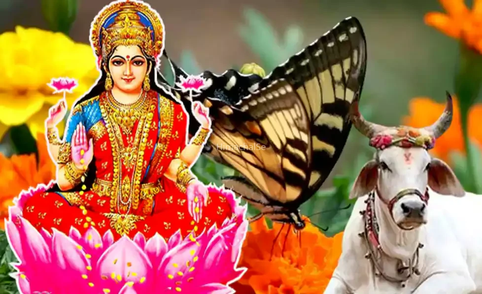 अच्छा समय आने की 7 निशानियां, यदि आपके साथ भी हो रही हैं ऐसी चीजें तो हो जाइए खुश