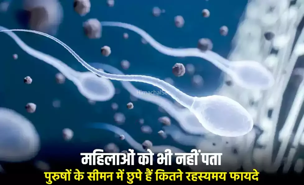 महिलाओं को भी नहीं पता पुरुषों के सीमन में छुपे हैं कितने रहस्यमय फायदे. वेज्ञानिको ने किया शॉकिंग खुलासा