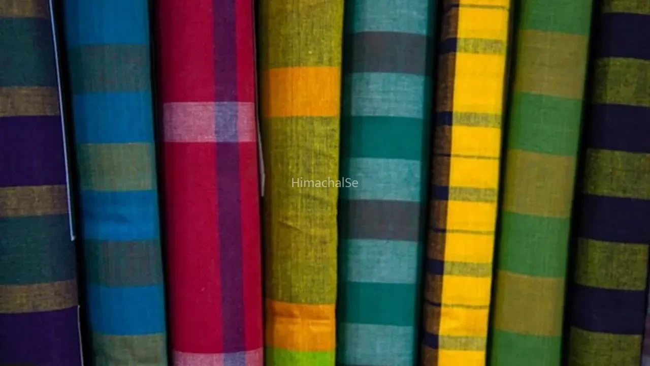 Story Of Madras Checks: तमिलनाडु की गलियों से Dior-Gucci के रनवे तक, जानिए मद्रास चेक्स की दिलचस्प कहानी​