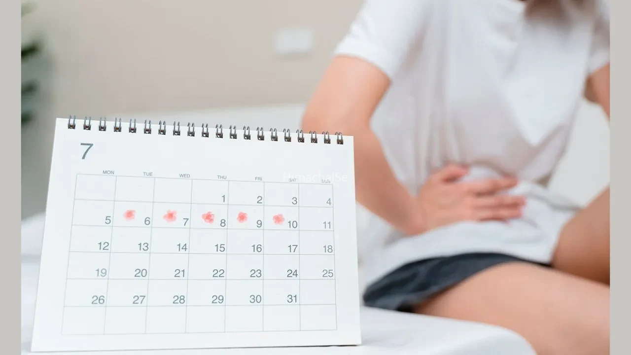 PCOD, PCOS, PMOS: एक जैसे लगते हैं ये तीनों नाम, लेकिन फर्क जानना हर महिला के लिए है जरूरी, जानें सबकुछ​