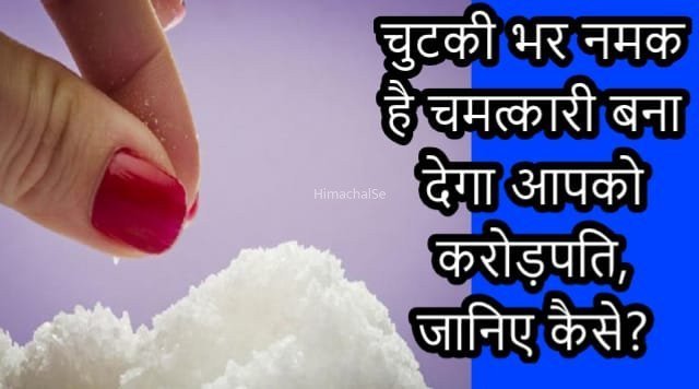 चुटकी भर नमक है चमत्कारी बना देगा आपको करोड़पति जानिए कैसे? क्लिक करके जाने पूरी खबर