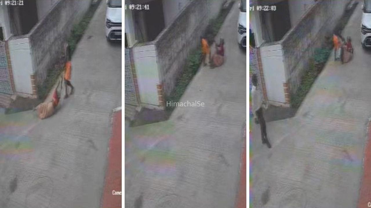 जबलपुर में 75 साल की बुजुर्ग मां को बीच सड़क घसीटा, बाल पकड़े और बरसाए थप्पड़, CCTV फुटेज देख कांप उठेगी रूह​