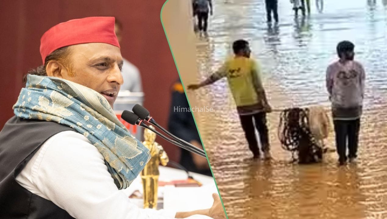 प्रदेश और प्लेन चलाने वाले में समानता दिख रही… जेवर एयरपोर्ट की पार्किंग में जलभराव पर अखिलेश यादव का तंज