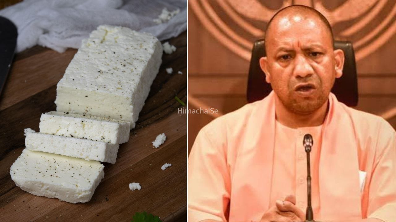 योगी सरकार का बड़ा एक्शन, अब यूपी में भी एनालॉग पनीर समेत क्रीम, घी पर लगा बैन​