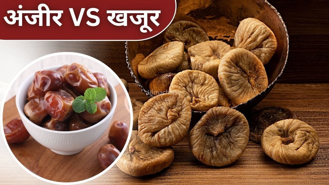 खजूर और अंजीर किस ड्राई फ्रूट में हैं ज्यादा विटामिन-मिनरल्स, फायदे भी जानें​