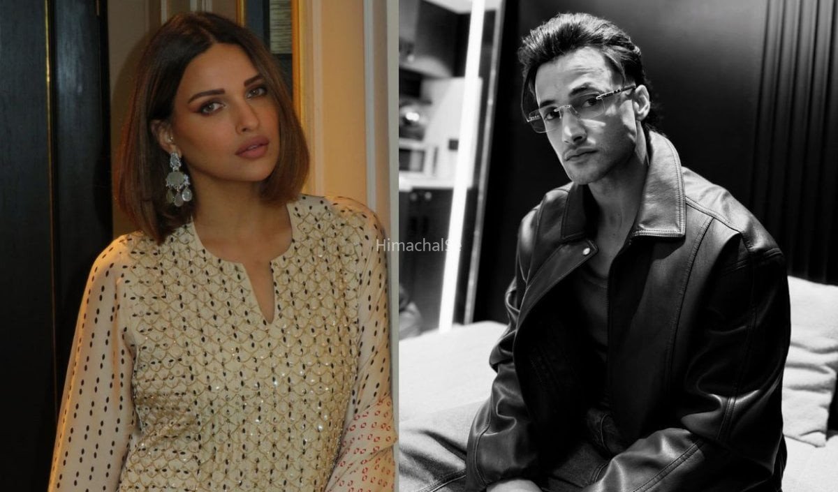 Himannshi Khurrana के आरोपों पर Asim Riaz का पलटवार, पारस छाबड़ा पर भी साधा निशाना​