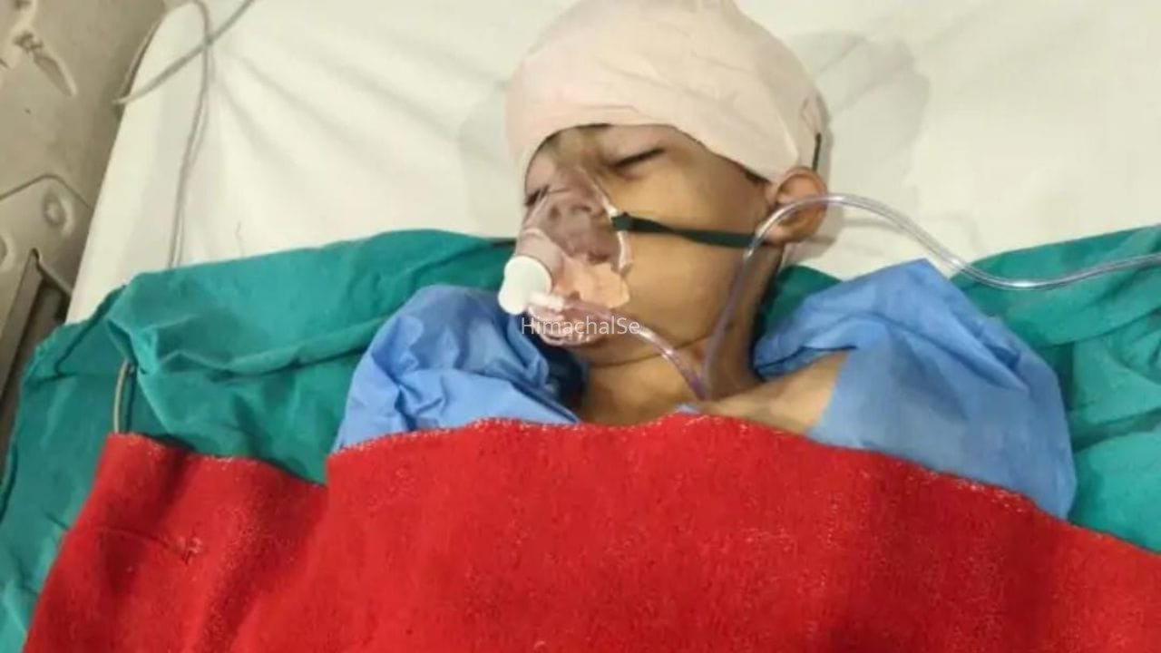 BHU कैंपस में 11 वर्षीय बच्चे पर आवारा कुत्ते का हमला, सिर-चेहरे पर गंभीर चोट, लगे 50 टांके​
