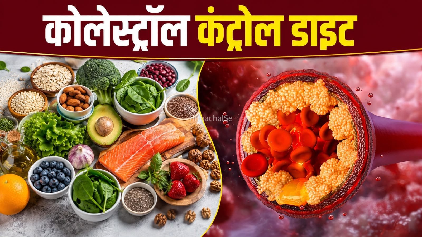 Bad Cholesterol: बढ़े हुए कोलेस्ट्रॉल को कम करने के लिए क्या खाएं? जानें सही डाइट