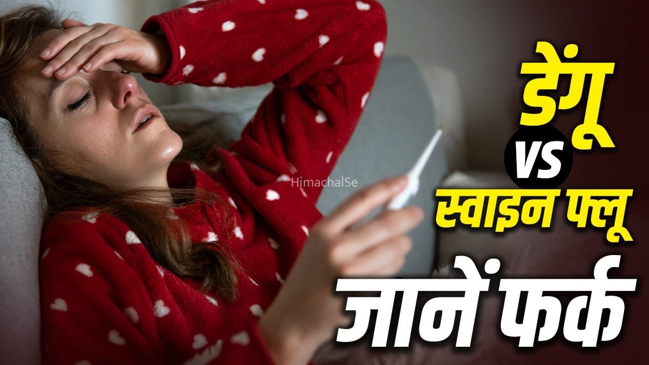 डेंगू या स्वाइन फ्लू? हर बुखार एक जैसा नहीं होता, ऐसे पहचानें लक्षणों में फर्क​