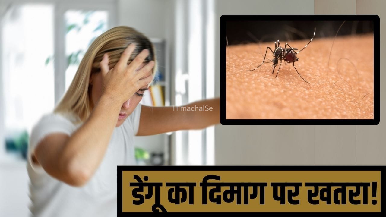 डेंगू संग ब्रेन स्ट्रोक का डर…क्या इंफेक्शन से दिमाग को भी खतरा? डॉक्टर ने बताया​