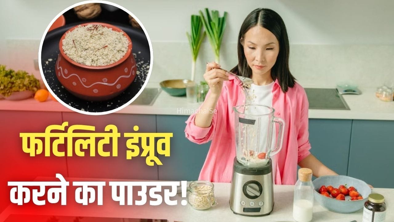 प्रेग्नेंसी कर रही हैं प्लान? ये देसी पाउडर लेना करें शुरू, फर्टिलिटी बढ़ाने में मिलेगी मदद!​