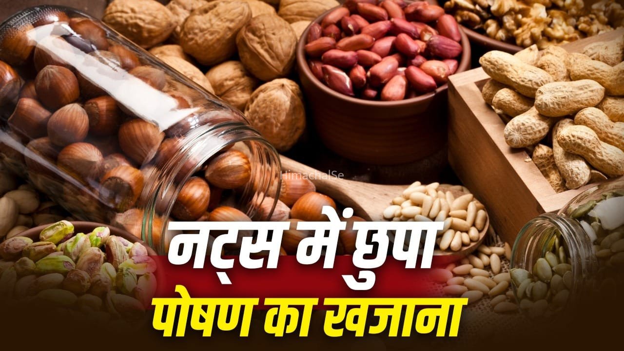 Nuts Nutrients: मूंगफली से बादाम-अखरोट तक, जान लें कौन से नट्स में कौन सा पोषक तत्व है ज्यादा​