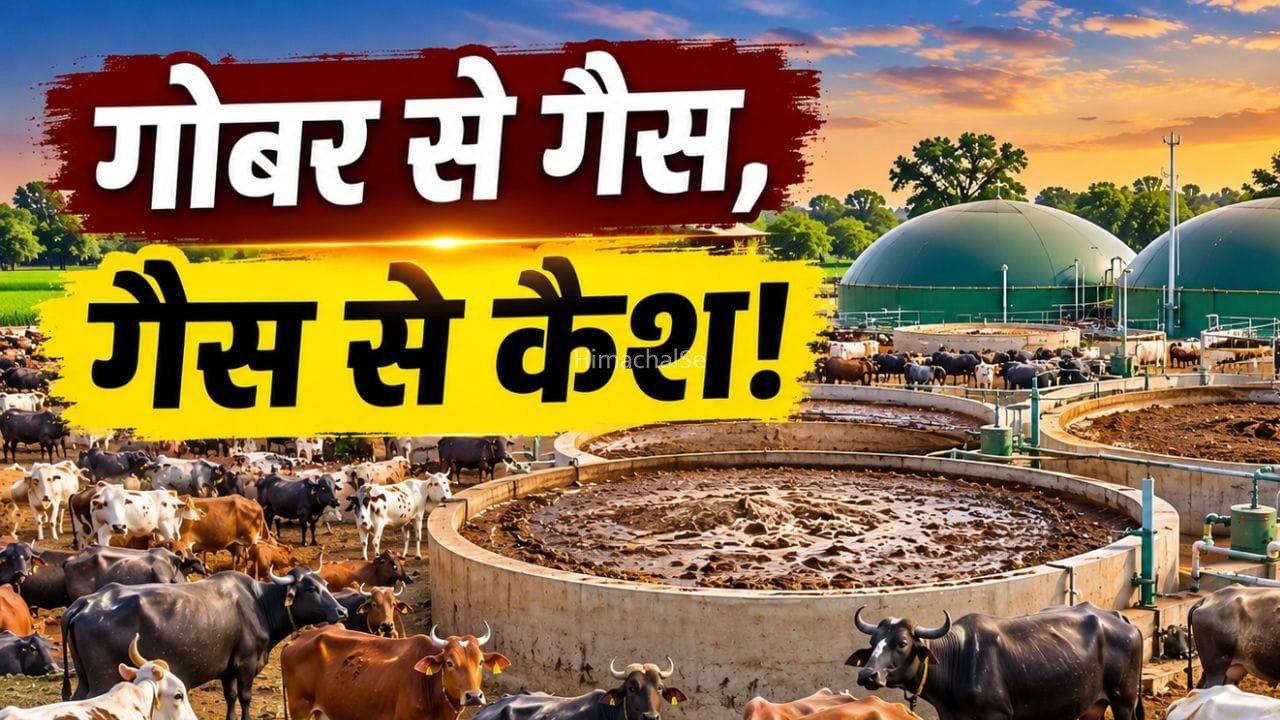 कचरे से बनेगा पैसा… समझिए ‘गोबर इकोनॉमी’ का वो मास्टरप्लान, जो बदल सकता है किसानों और पशुपालकों की किस्मत!​