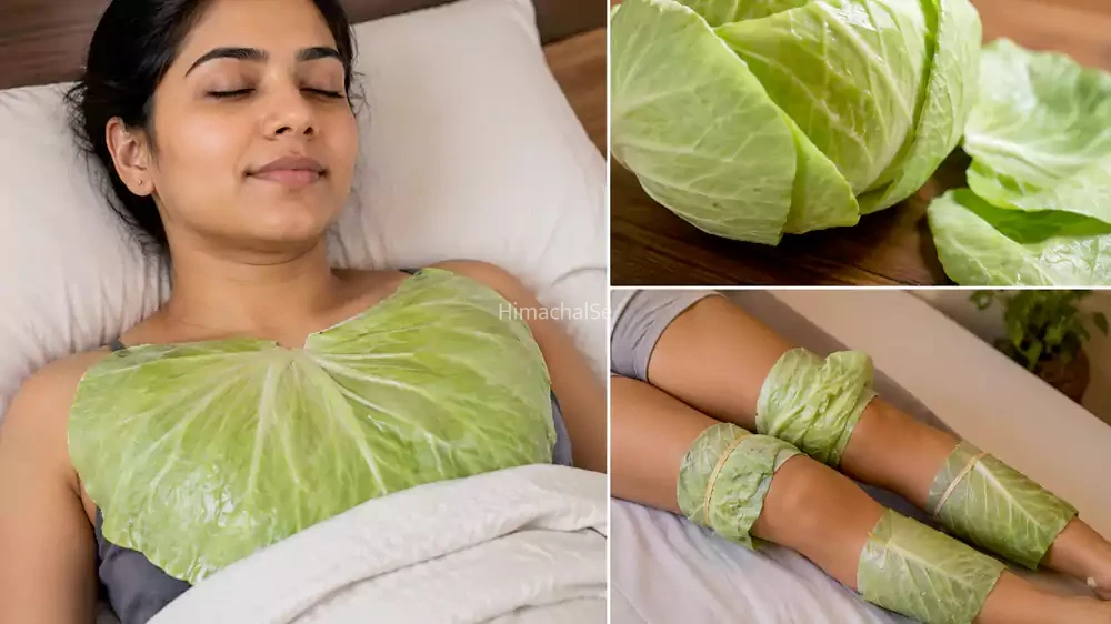 रातभर छाती और पैरों पर पत्ता गोभी के पत्ते लगाकर सोने से होगा ऐसा कमाल की बोलोगे वाह
