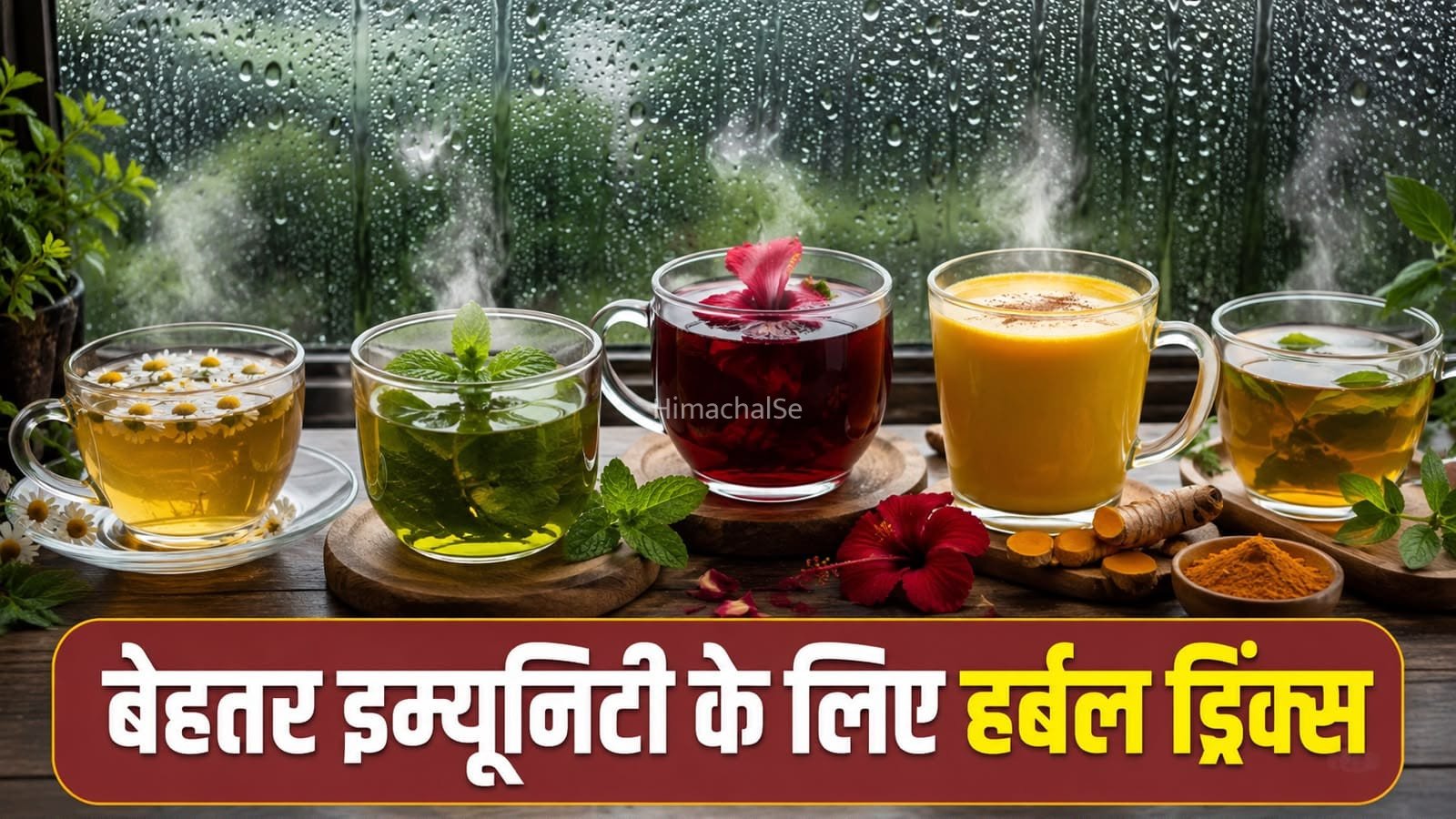 मानसून में पिएं हर्बल ड्रिंक्स, इम्यून सिस्टम को मिलेगा सपोर्ट