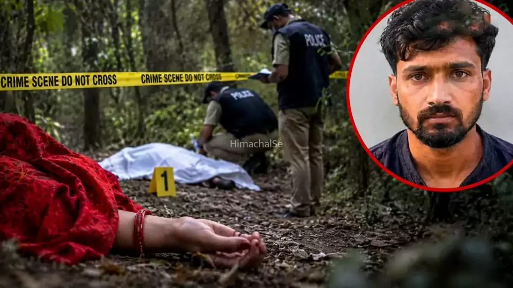 संबंध बनाने के बहाने जंगल में ले गया, बोला कपड़े उतारो और फिर… शादी के बावजूद महिला का 2 युवक से चल रहा था प्रेम प्रसंग