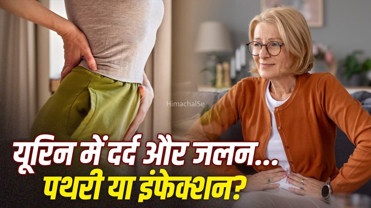 किडनी में पथरी या यूरिन इन्फेक्शन…दोनों दिक्कतों में फर्क कैसे करें, एक्सपर्ट से जानें​