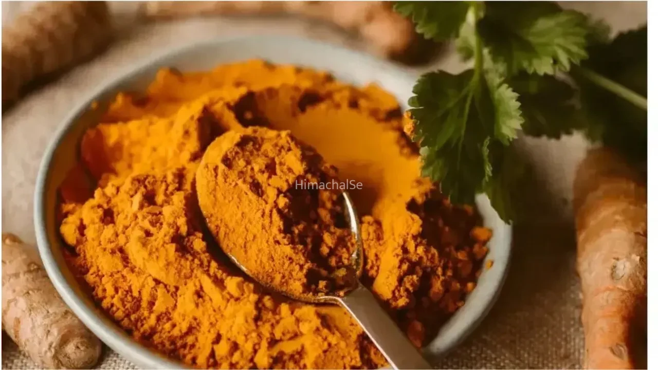 Lakadong Turmeric: क्यों है मेघालय की लाकाडोंग हल्दी ‘गोल्डन स्पाइस’? जानें क्या है इसकी खासियत​