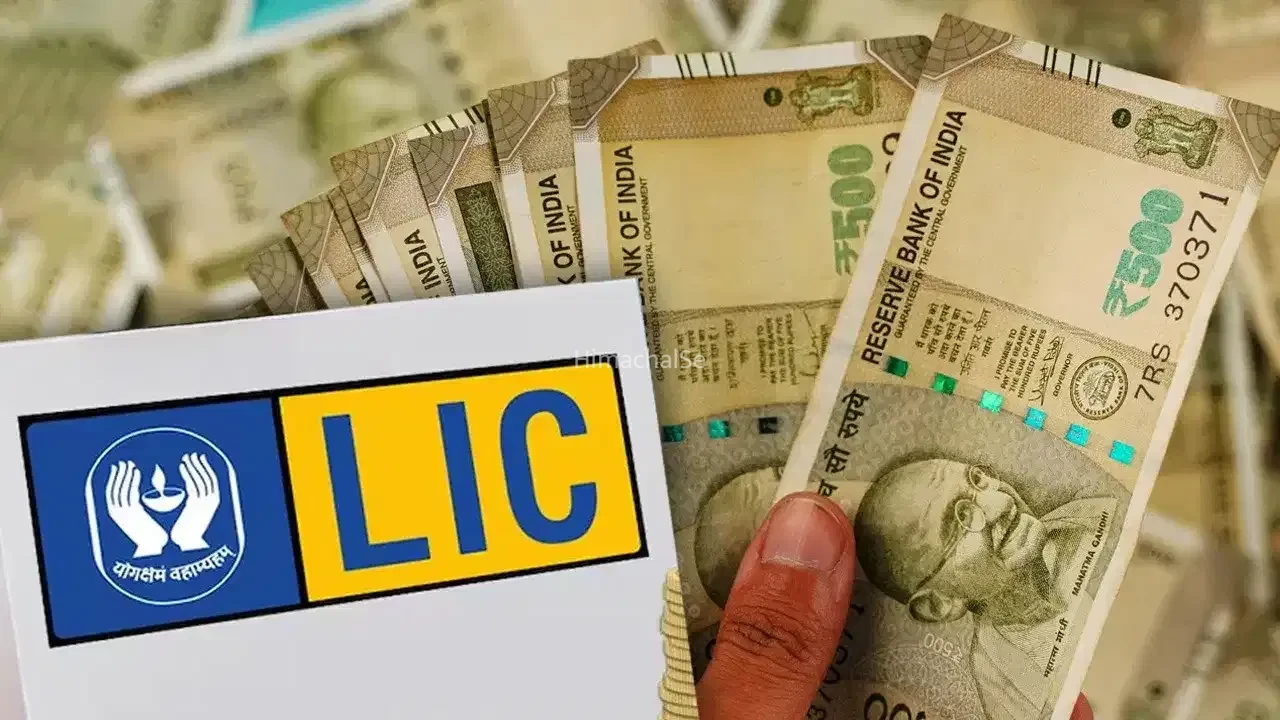 कुछ साल चुकाएं प्रीमियम, जीवनभर पाएं सुरक्षा के साथ रेगुलर इनकम  LIC का ये प्लान आपके लिए हो सकता है बेस्ट​
