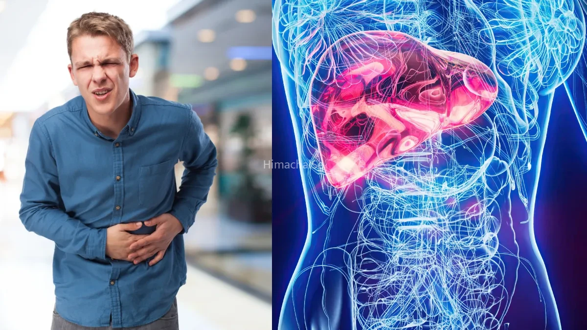 ये 3 लक्षण दिखें तो समझ लें आ गया है वक्त शराब छोड़ने का नहीं तो लिवर फेल भी हो सकता है