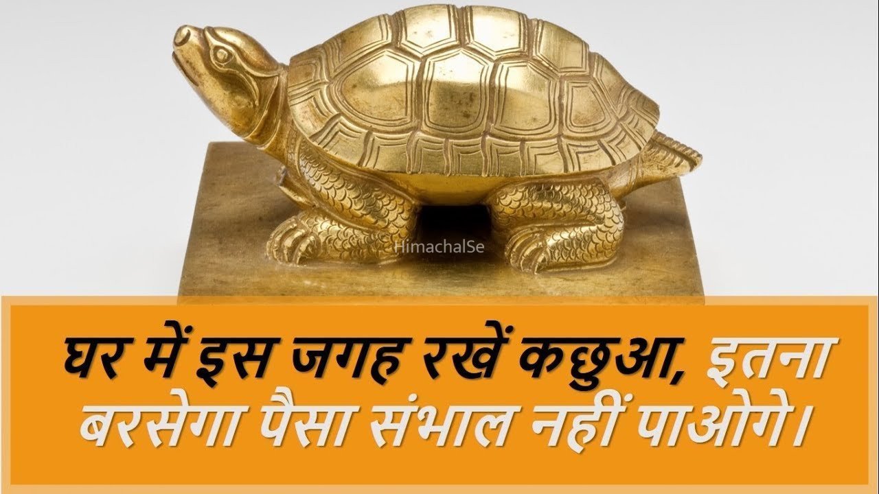 घर में इस जगह रखें कछुआ इतना बरसेगा पैसा संभाल नहीं पाओगे