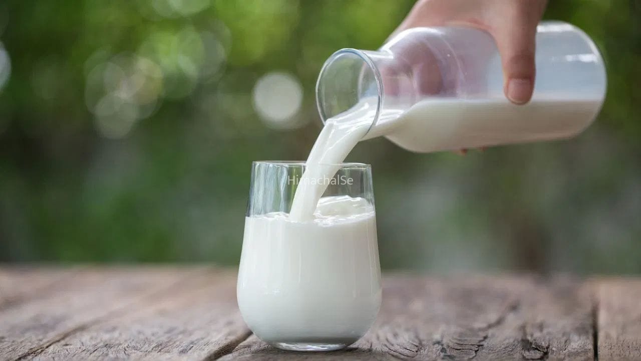 इस राज्य में बढ़े दूध के दाम, दही और पनीर भी महंगा, इतनी बढ़ गई कीमत?​
