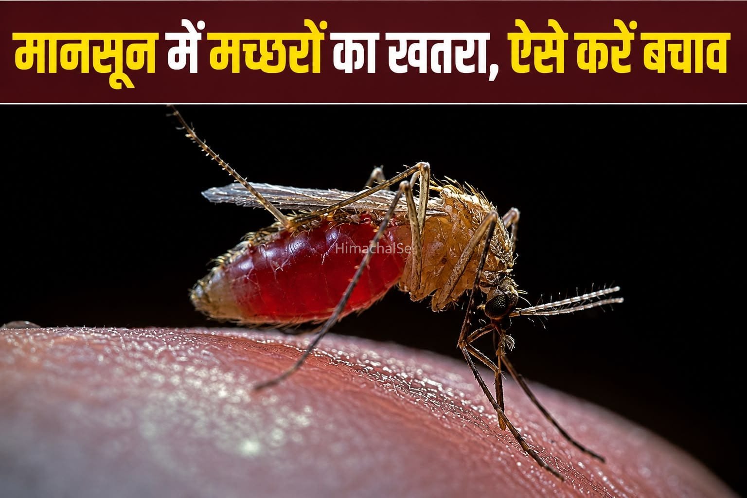 मानसून में मच्छरों से बचने के लिए अपनाएं ये आसान और असरदार तरीके​