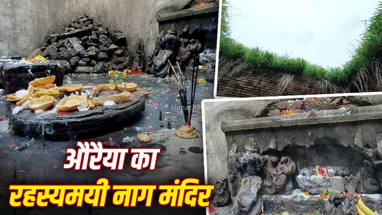 Nag Panchami 2026: टूटी मूर्तियां, बिन छत का मंदिर…साल में सिर्फ नाग पंचमी पर होती है पूजा