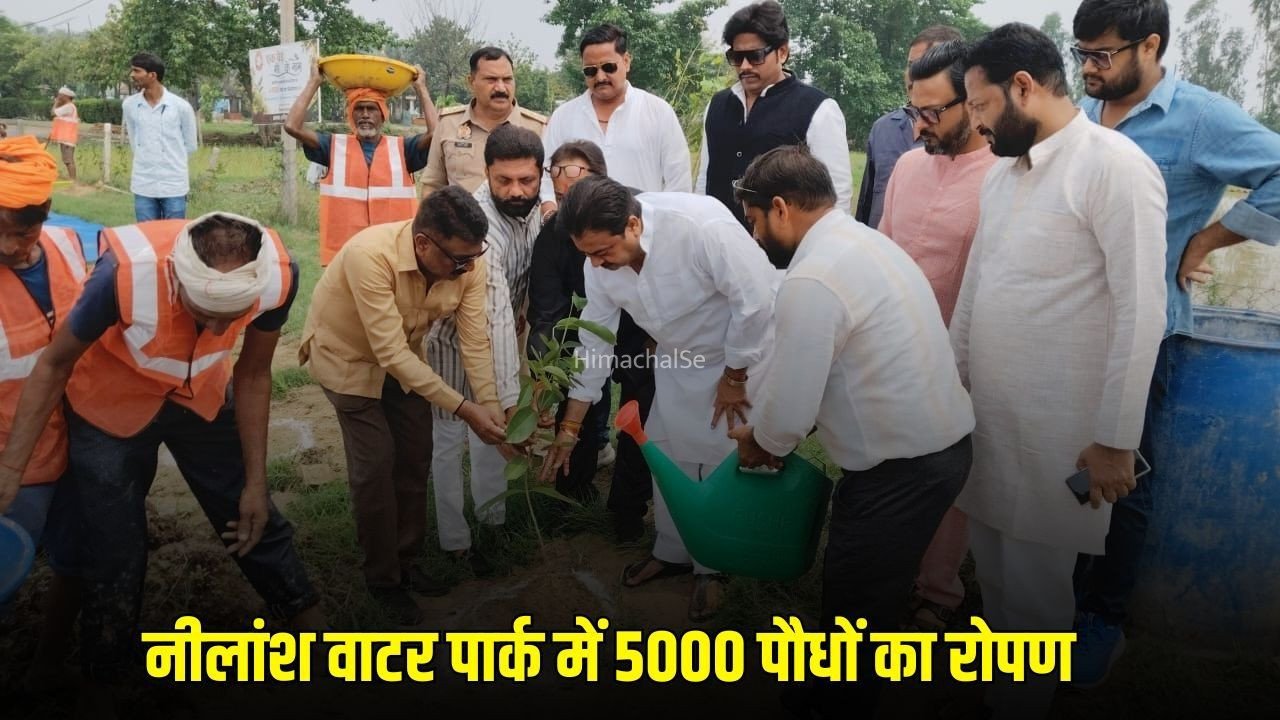 लखनऊ में पौधरोपण: नीम-जामुन-महुआ सहित 5 हजार पौधे रोपे, विधान परिषद नेता अक्षय प्रताप सिंह बोले- हर पौधा बनेगा जीवन का आधार​
