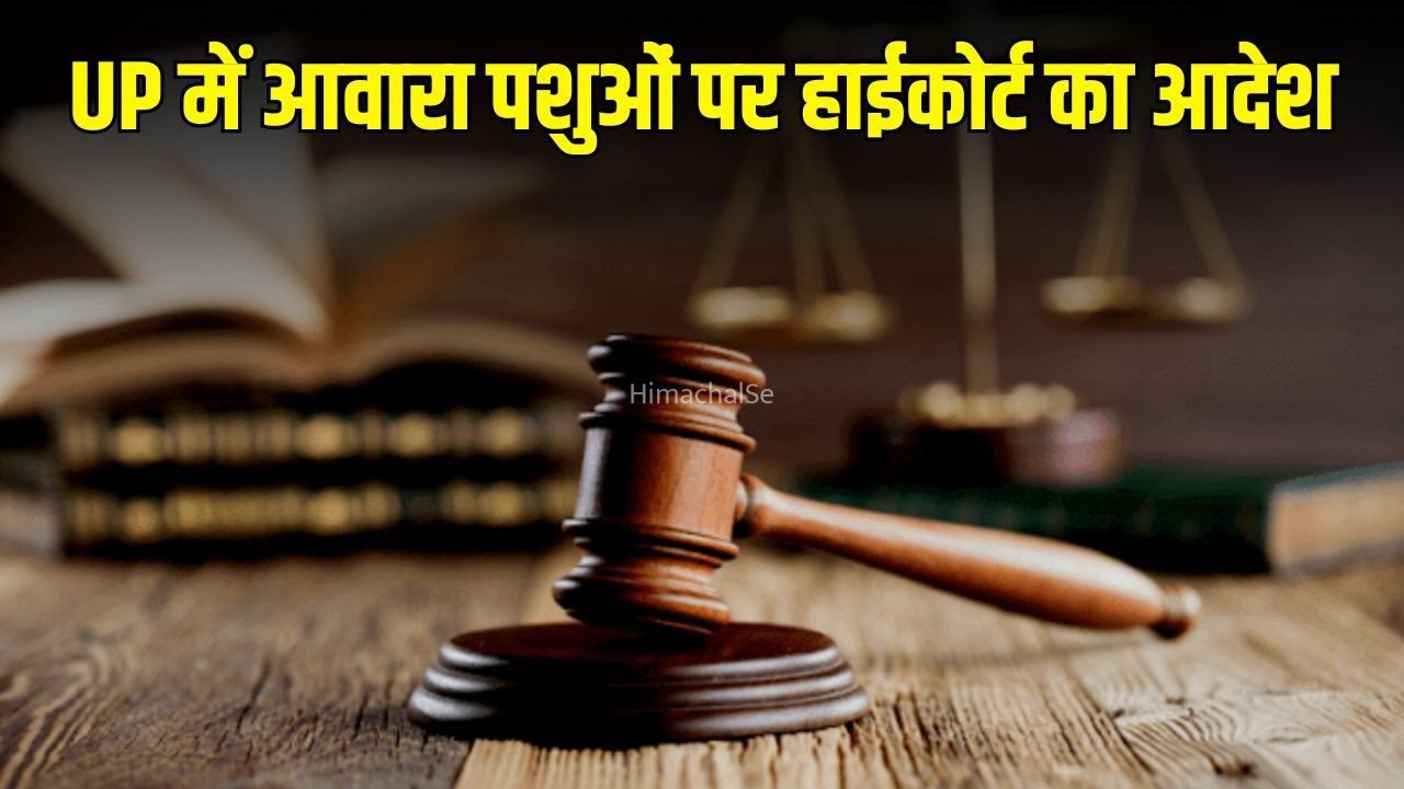 High Court Order: इलाहाबाद हाईकोर्ट का यूपी सरकार को निर्देश, कहा- दो हफ्ते में बताए छुट्टा पशु और लावारिस कुत्तों से प्रभावित स्थान​