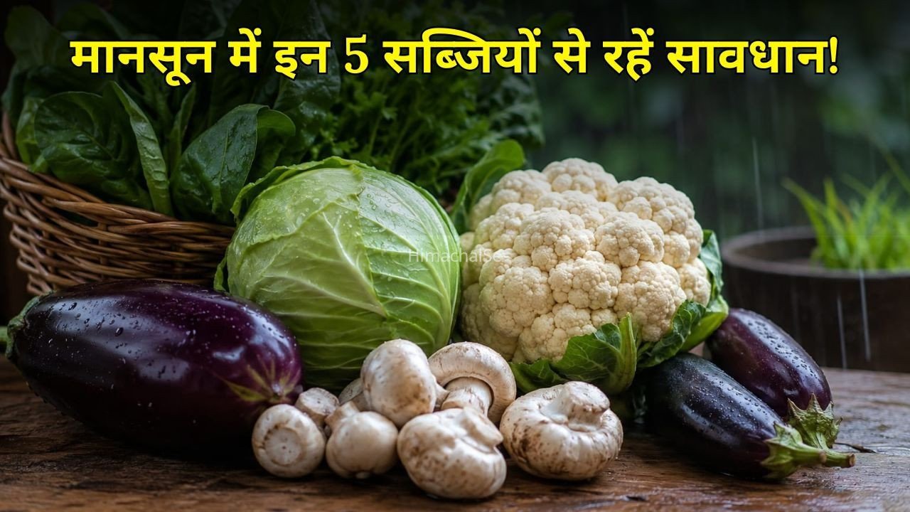 Monsoon Vegetables: बारिश में भूलकर भी न खाएं ये 5 सब्जियां, बढ़ सकता है बीमारियों का खतरा! जानें क्या खाएं?​