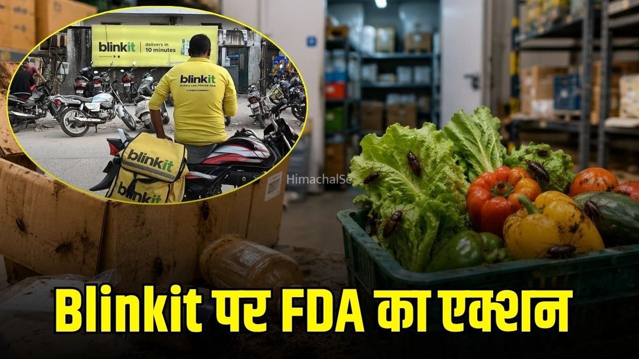 Blinkit License Suspend: ब्लिंकिट का लाइसेंस सस्पेंड, स्टोरेज फैसिलिटी में मिले कॉकरोच और एक्सपायरी प्रोडक्ट्स, FDA का एक्शन​