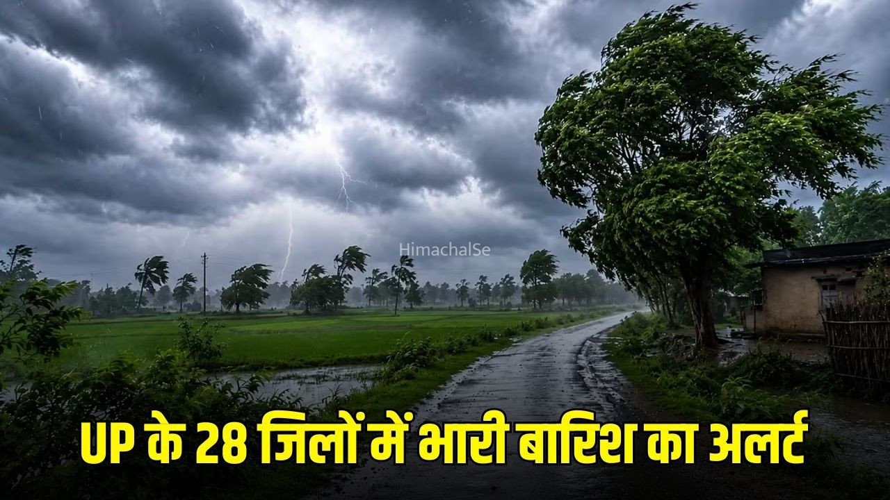 UP Weather: मानसून फिर हुआ एक्टिव, 28 जिलों में भारी बारिश का अलर्ट, 55 जिलों में वज्रपात की चेतावनी​