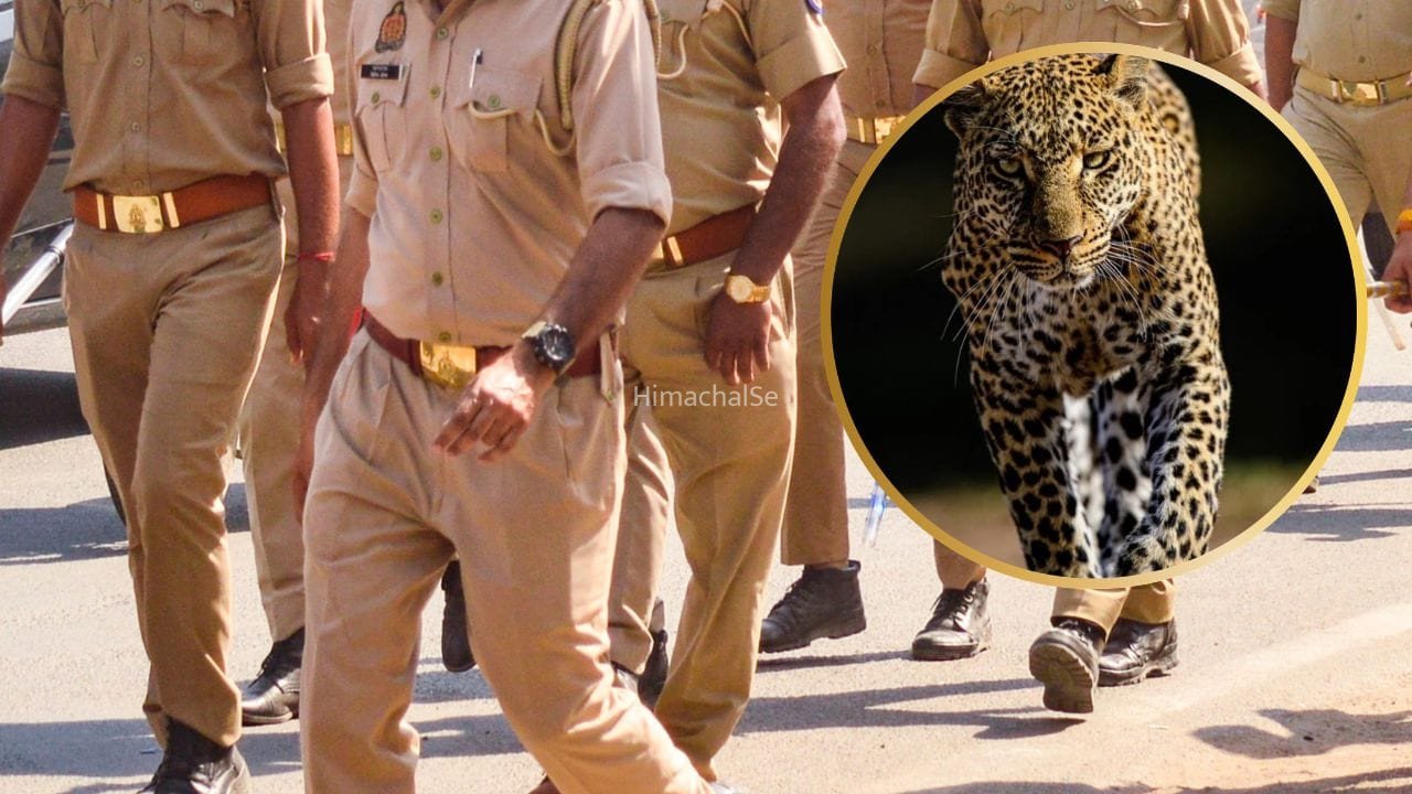 सलीम निकला भगवान सिंह! आगरा में शिकारी के पास मिली 10 तेंदुओं की खाल, नाम बदलने की क्या थी वजह?​