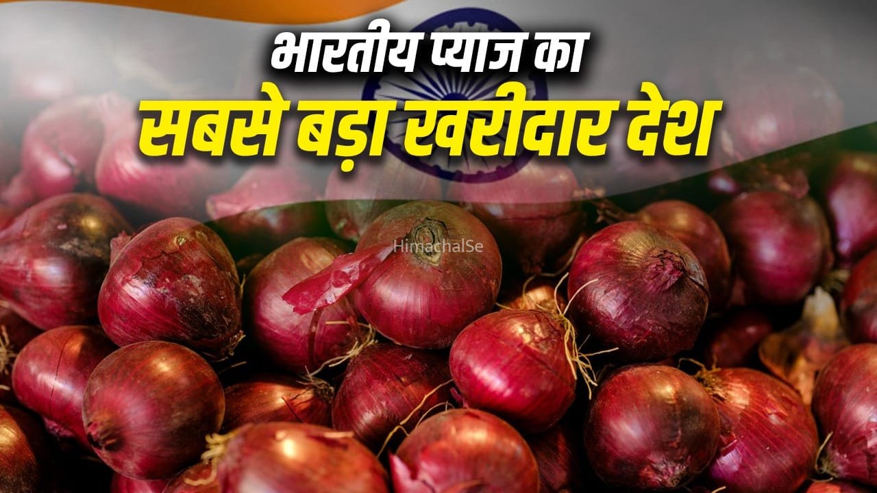 Onion: भारत, चीन या इजिप्ट… सबसे ज्यादा प्याज उगाने वाला देश कौन? बढ़ती कीमतें बना रहीं रिकॉर्ड​