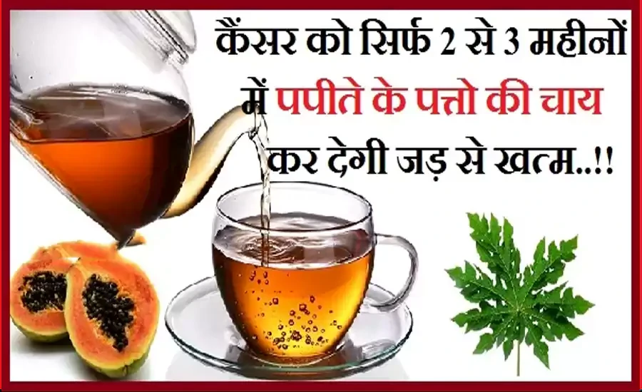 ​​किसी भी स्टेज के कैंसर को सिर्फ 2 से 3 महीनों में पपीते के पत्तो की चाय कर देगी जड़ से खत्म, तरीका जान लो अभी