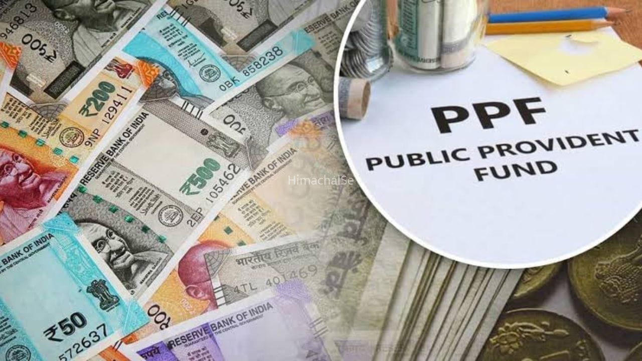PPF में 1000, 5000 या 10000 रुपये जमा करने पर कितना मिलेगा रिटर्न? ये है  कैलकुलेशन​