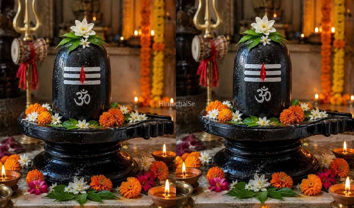 Rudrabhishek In Sawan: महादेव की कृपा के लिए क्यों जरूरी है Rudrabhishek? जानें इसके Benefits और नियम​