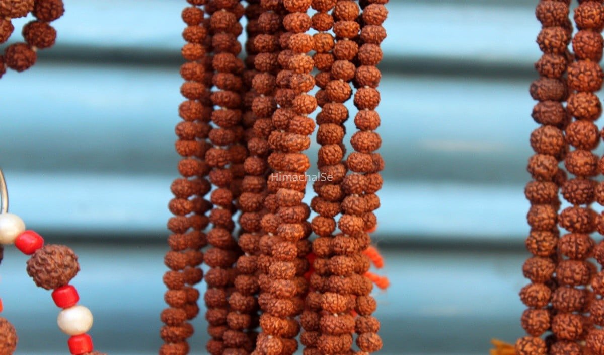 Rudraksha Benefits: पीरियड्स के दौरान रुद्राक्ष पहनने पर क्या कहते हैं शास्त्र? जानिए क्या है इसके पीछे की सच्चाई​