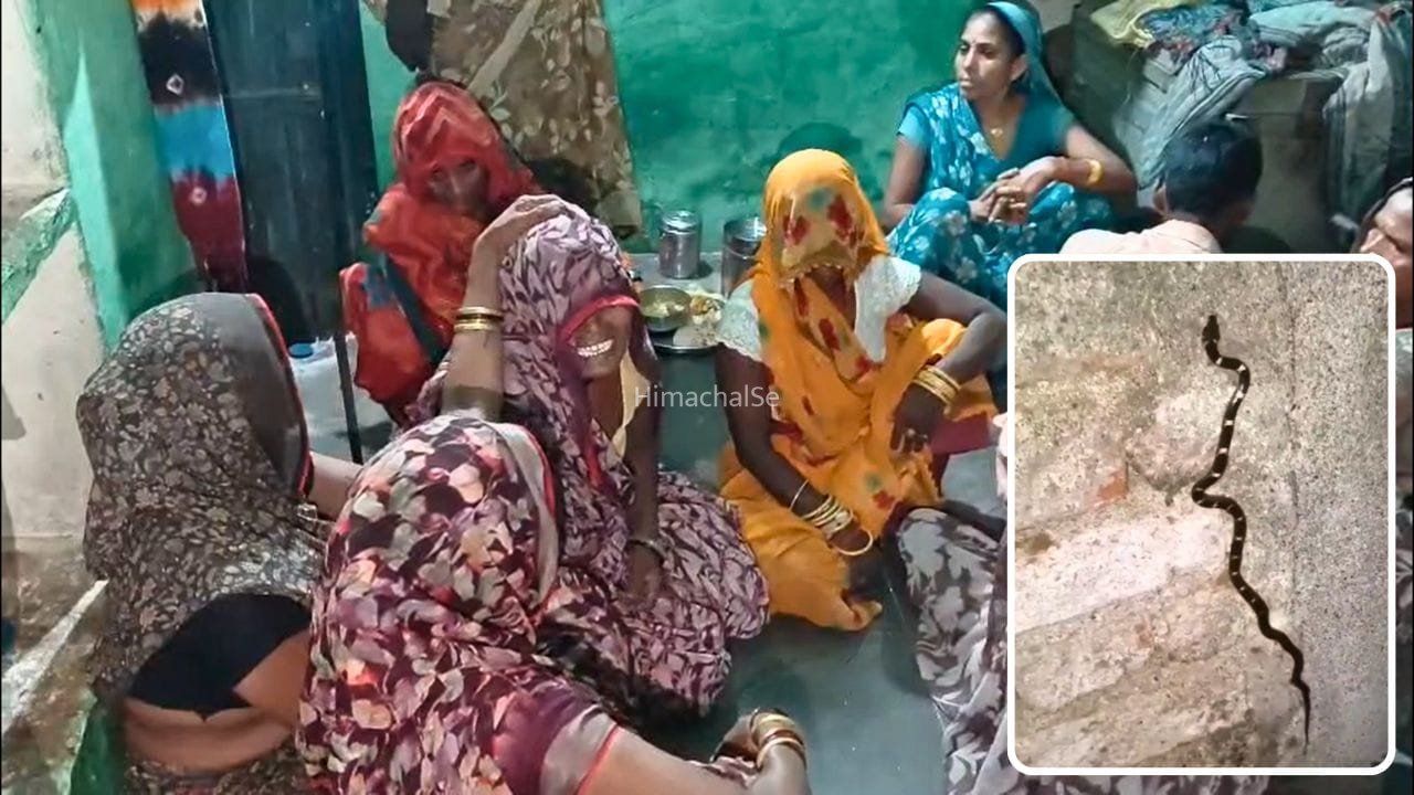 तीन दिन पहले सांप को मारा, दूसरे ने दो मासूमों को डसा, भाई की मौत… बहन वेंटिलेटर पर​