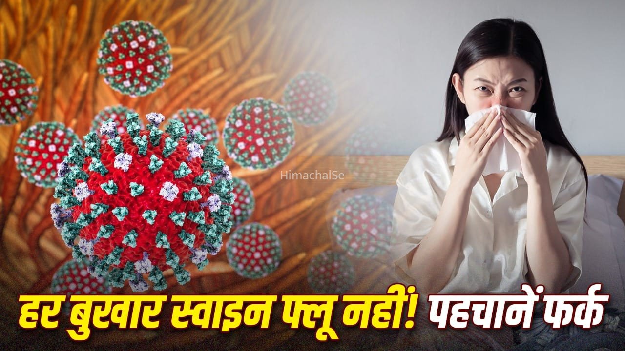 स्वाइन फ्लू हुआ है या ये सिर्फ वायरल फीवर है? कैसे पहचानें? एक्सपर्ट ने बताया​
