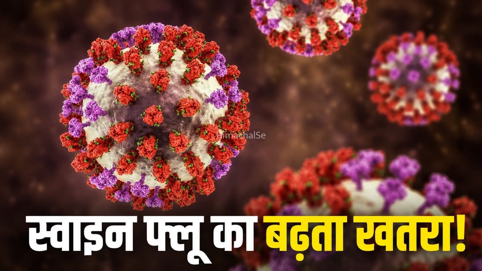 देश में स्वाइन फ्लू पर बढ़ी चिंता, जानें इसके कारण, लक्षण और बचाव​