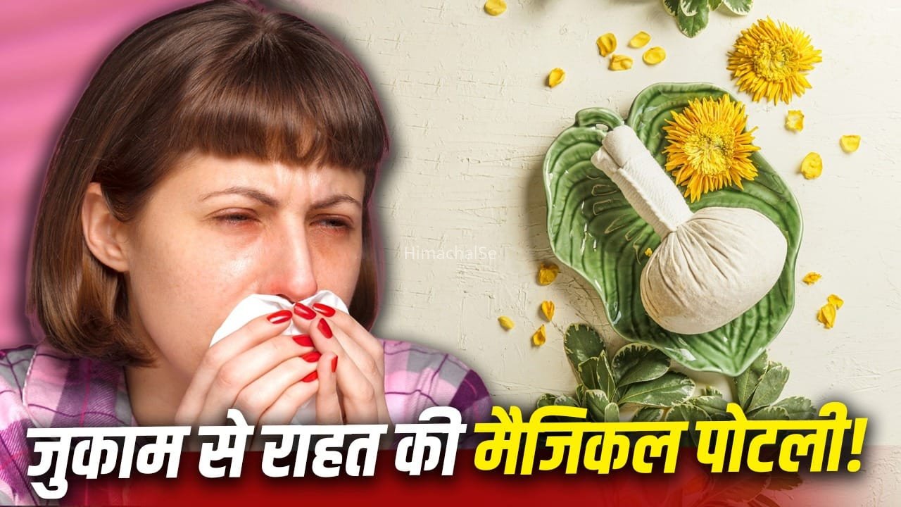 Stuffy Nose Relief Remedy: ये छोटी सी पोटली खोल देगी बंद नाक, कफ भी होगा कम, एक्सपर्ट ने बताया बनाने का तरीका​