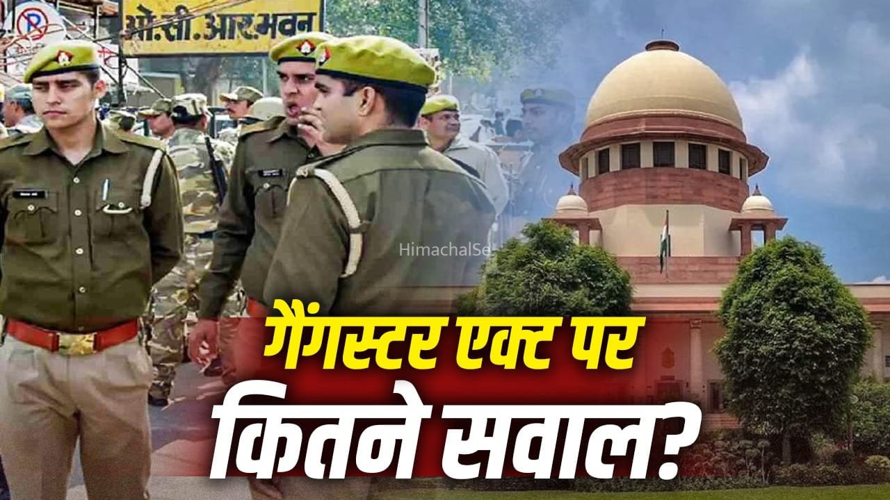 26,920 FIR, 80 हजार से ज्यादा गिरफ्तारियां…अब यूपी गैंगस्टर एक्ट को सुप्रीम कोर्ट ने क्यों बताया ‘बेकार कानून’​