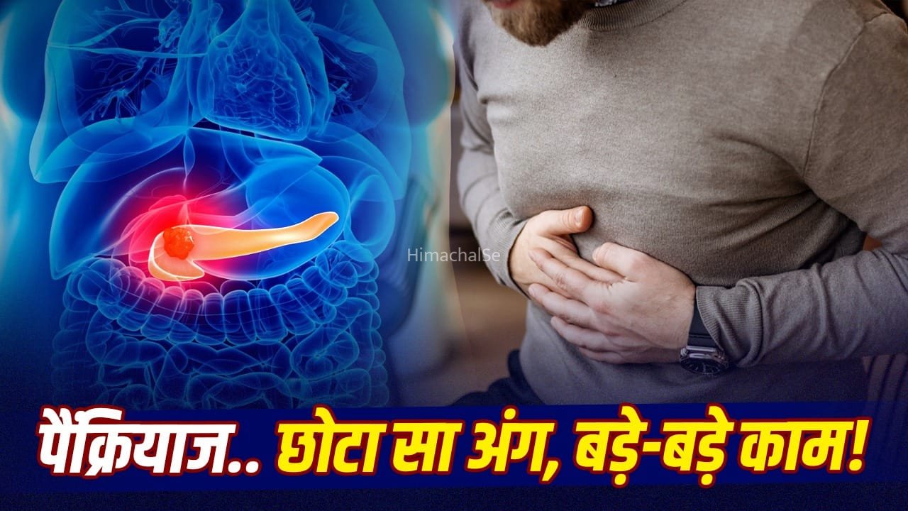पैंक्रियाज कैसे करता है काम? इसकी बिगड़ी हेल्थ के क्या हैं लक्षण, कब हो जाता है कैंसर?​