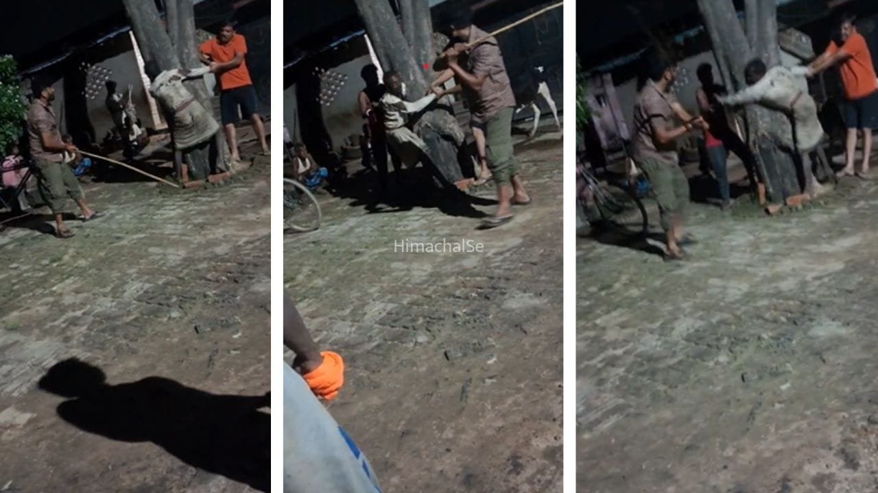 Varanasi Crime News: चोरी के शक में हैवानियत! मजदूर को पेड़ से बांधा, लाठियों से तब तक पीटा जब तक नहीं निकली जान​