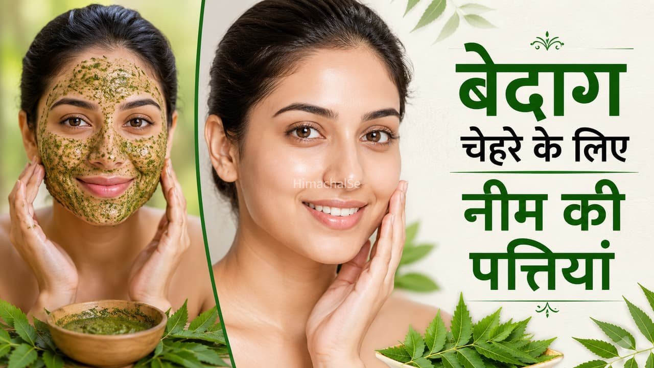 ताजी नीम की पत्तियों को 3 तरह से त्वचा में करें इस्तेमाल, गर्मियों में बेदाग दिखेगा चेहरा