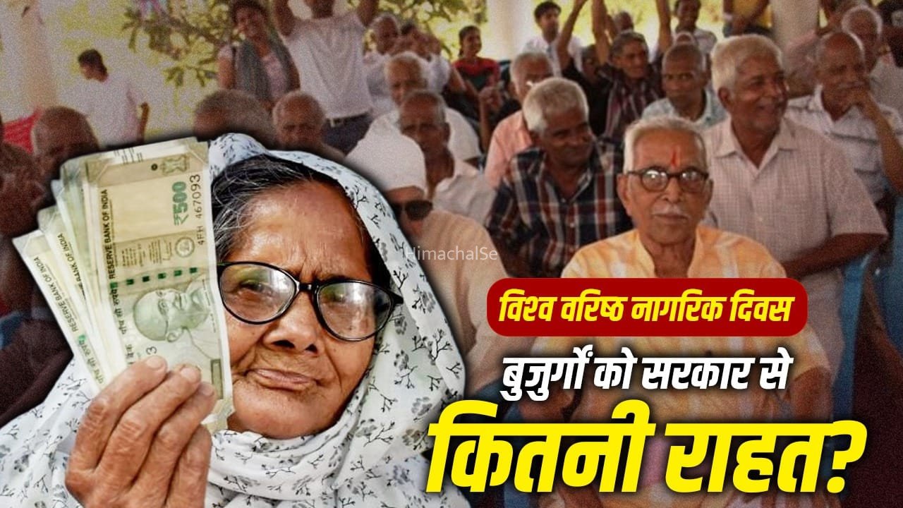 World Senior Citizens Day: पेंशन से इलाज तक, देश में बुजुर्गों के लिए कितनी योजनाएं, क्या-क्या फायदे मिलते हैं?