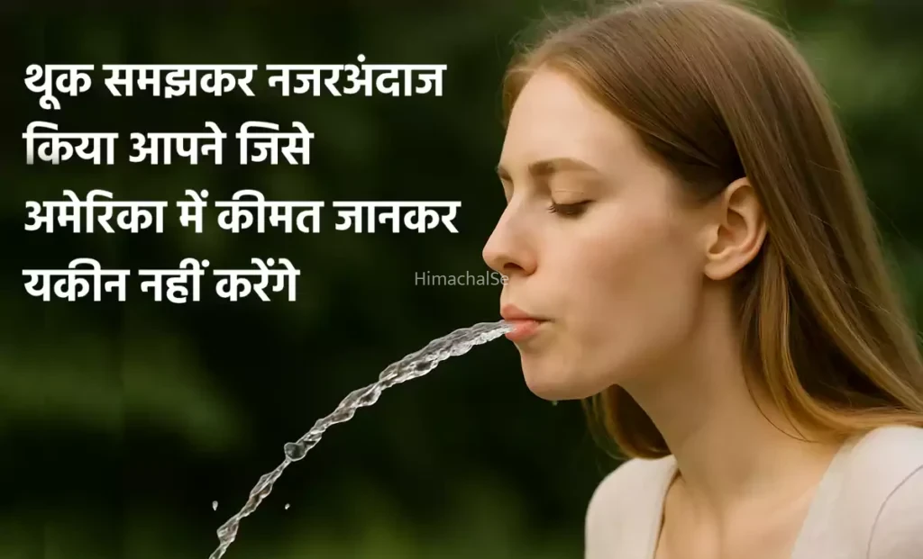 थूक समझकर नजरअंदाज किया आपने जिसे अमेरिका में उसकी डिमांड इतनी कि कीमत जानकर यकीन नहीं करेंगे​​​